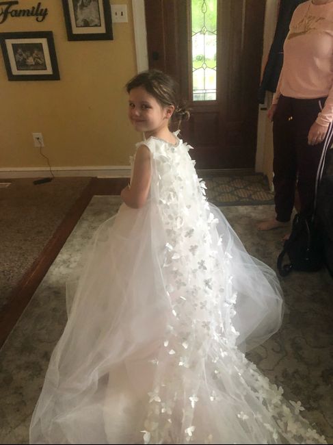 Our flower girl dresses came in! 4