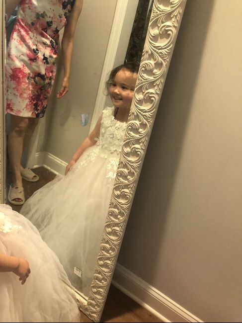 Our flower girl dresses came in! - 5