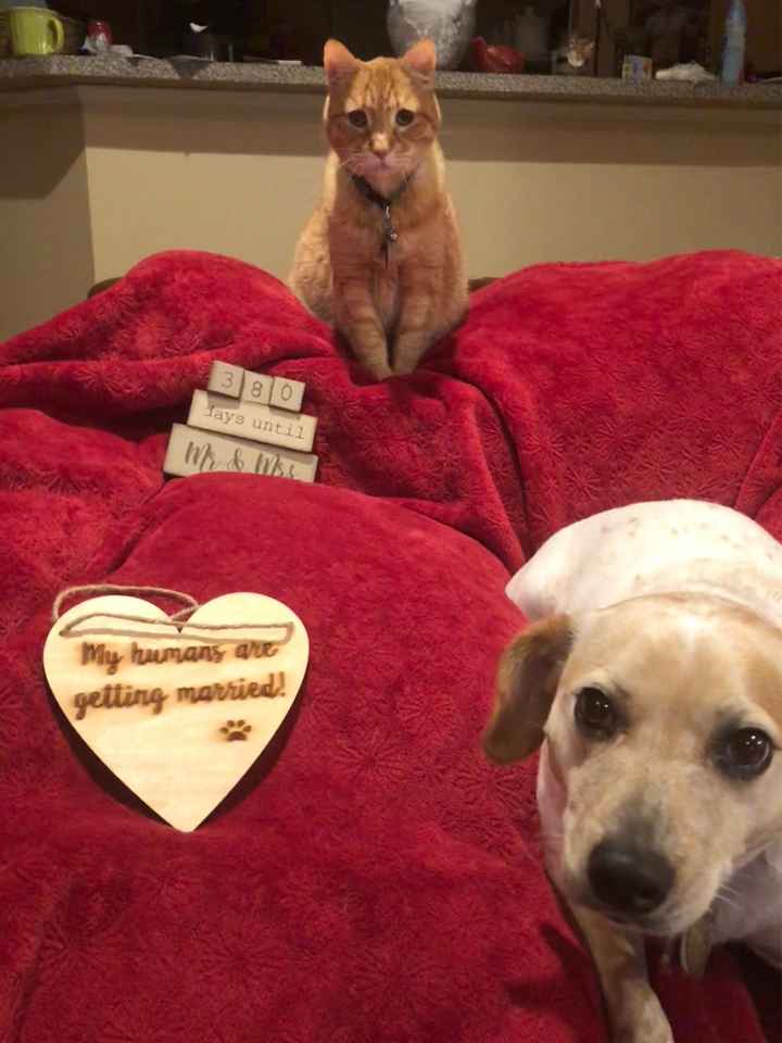 Announcement or Save the date? - 1