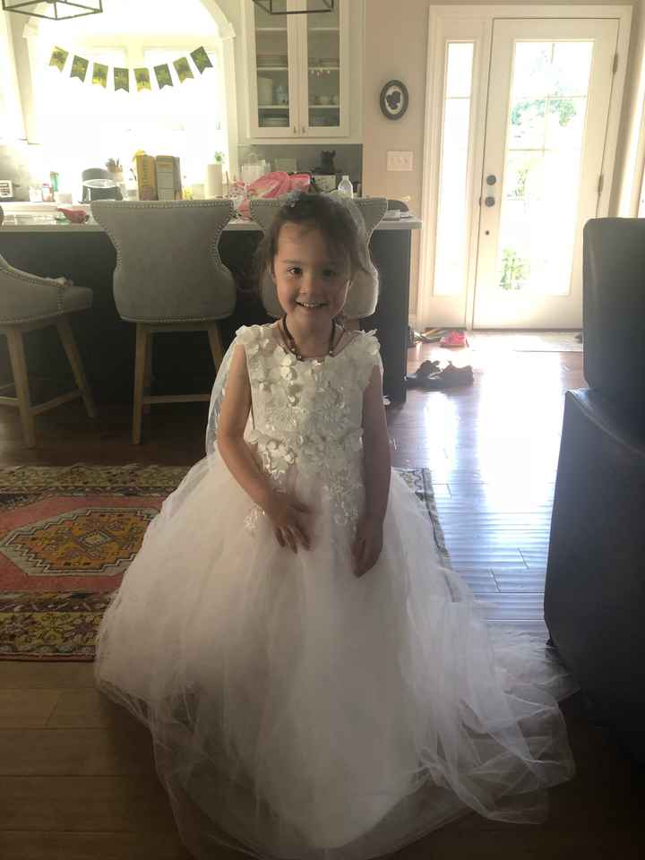 Our flower girl dresses came in! - 1