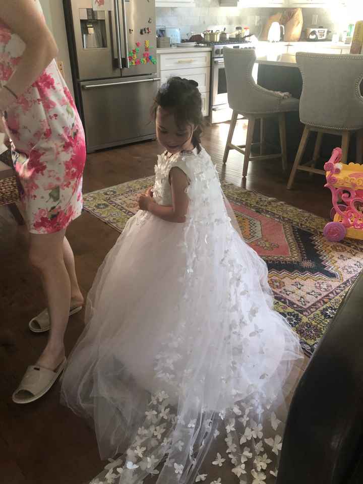 Our flower girl dresses came in! - 3