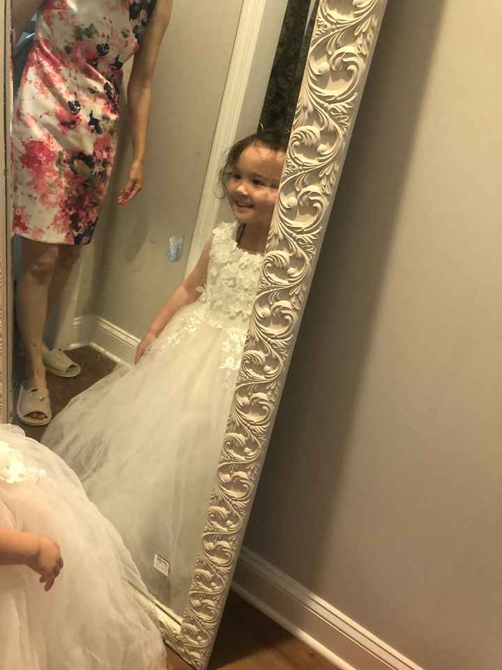Our flower girl dresses came in! - 5