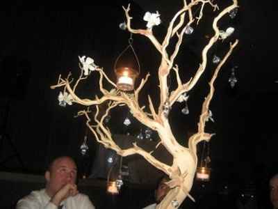 The 'Honest Opinion' Thread