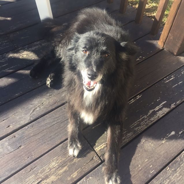 NWR: Show me your pups!