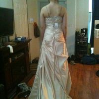 Dress pictures!