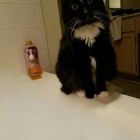 Post a pic of something that makes you happy!