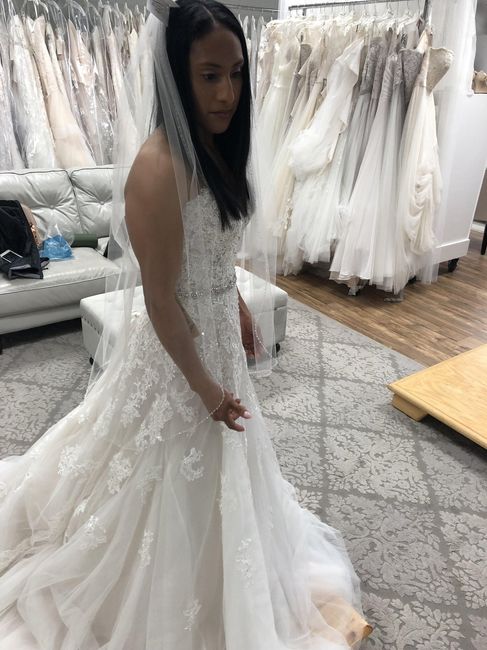 Where did you purchase your veil at? 1