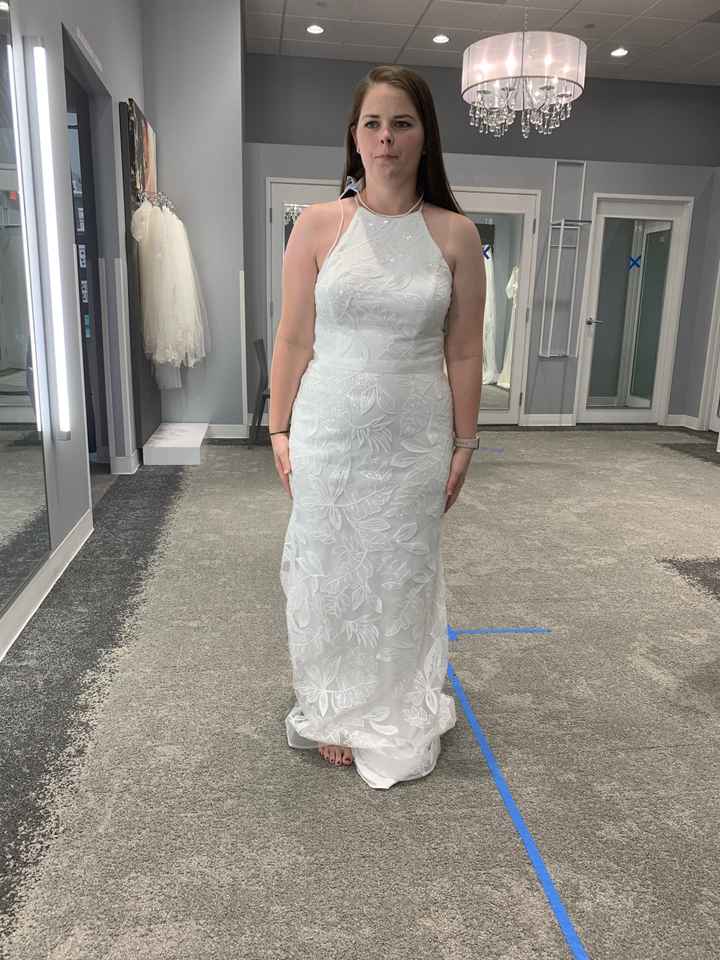 Choosing between two dresses - 2