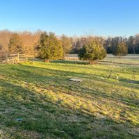 self planning for my own wedding 🤦🏽‍♀️🤦🏽‍♀️🤦🏽‍♀️ - 2