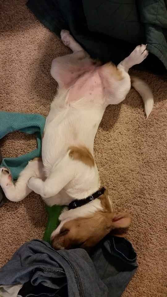 NWR: Mrs. A & J - This one's for you!!