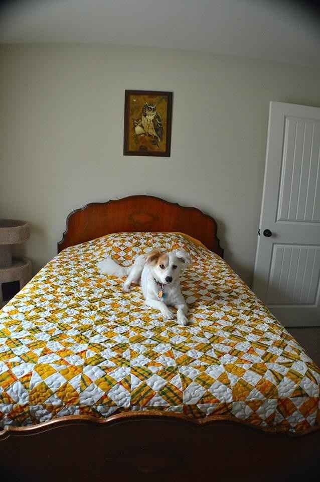 *NWR* Just for fun what (if anything) do you collect?