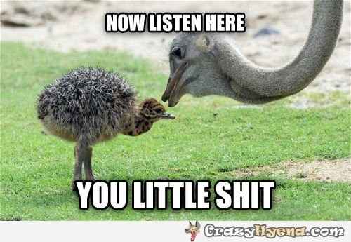 I need to VENT!!! People asking if they're invited to wedding!! WTF?