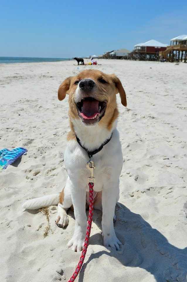 NWR Wait.....This looks familiar... (furbaby!)