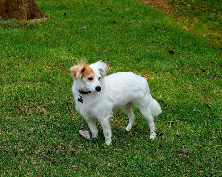 NWR Wait.....This looks familiar... (furbaby!)