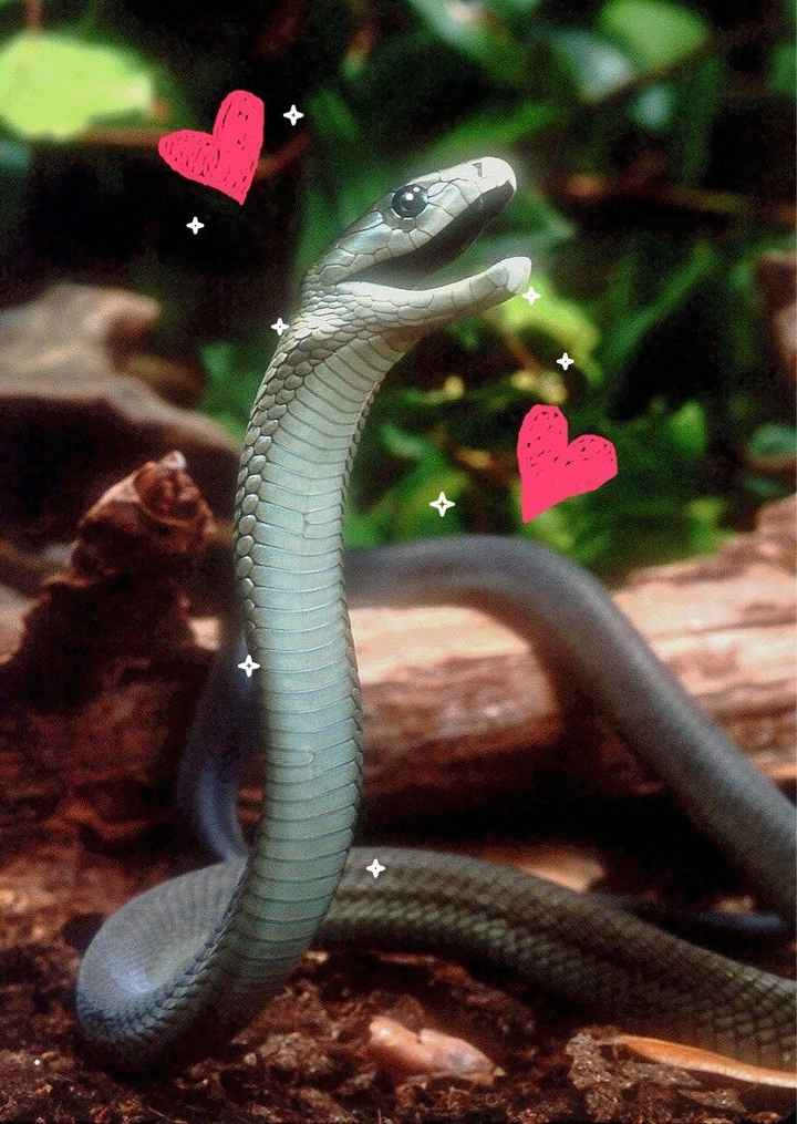 Trying on some dresses!