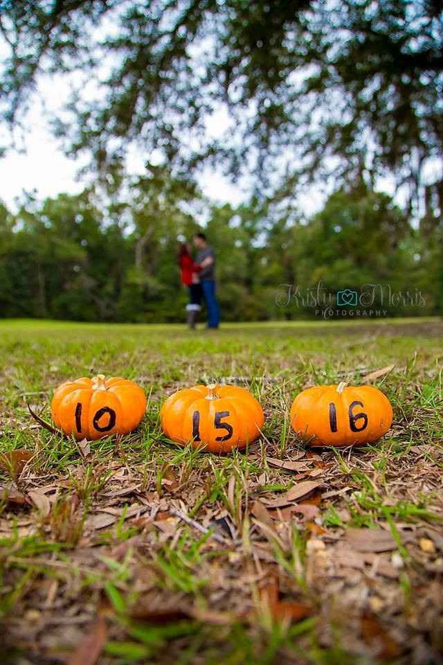 Engagement Session Sneak Peeks!