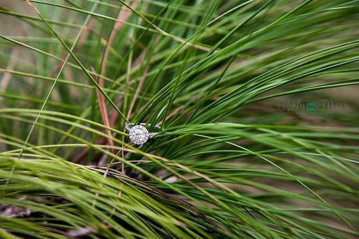 Engagement Session Sneak Peeks!
