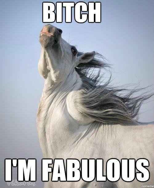 Want to have a wedding but can't afford it