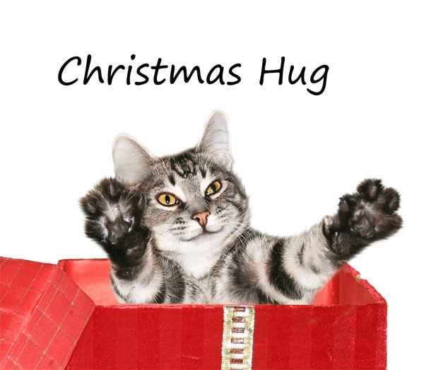 WW Secret Santa Thank You / Guessing Thread