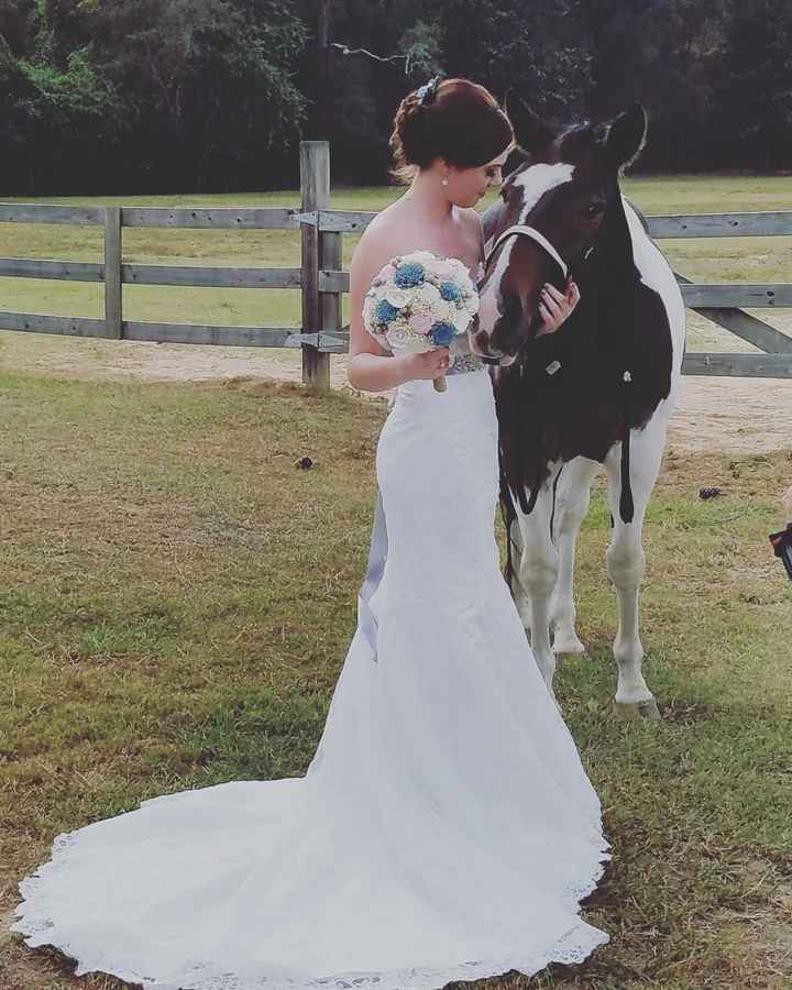 Non-Pro BAM, this Raptor is a Mrs!