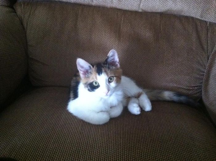 Fur baby friday!