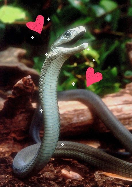 Trying on some dresses!