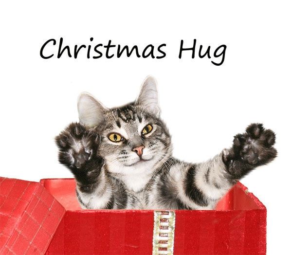 WW Secret Santa Thank You / Guessing Thread
