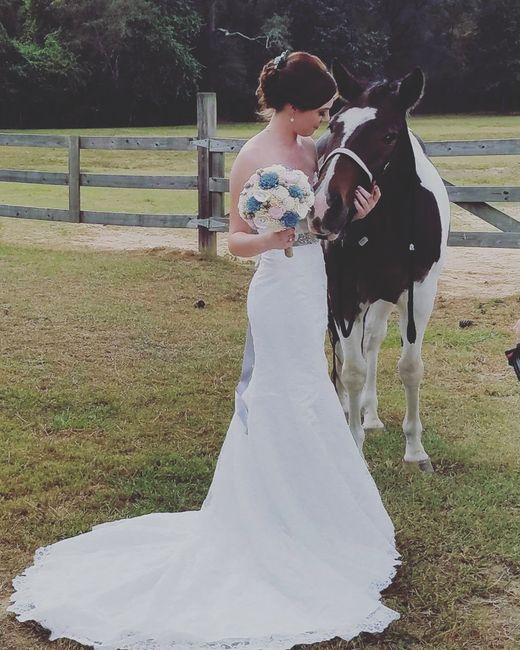Non-Pro BAM, this Raptor is a Mrs!