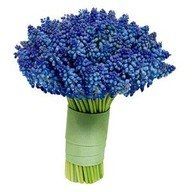 Flower Pictures! Pic Heavy!