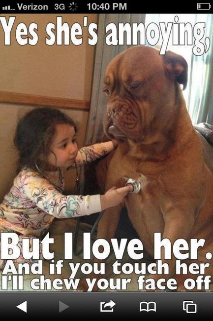 Keeping my mind of my wedding...Show me your dog:)!!**Pics