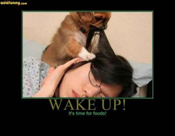 That awkward moment when.....
