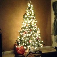 NWR- Let's see your Christmas tree!