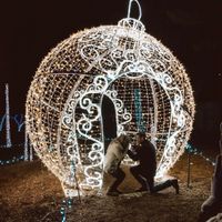Proposal