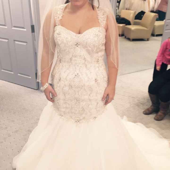 Dress opinions, sleeves or no?