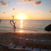 Couples Resorts in Jamaica - Any opinions?