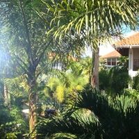 Couples Resorts in Jamaica - Any opinions?
