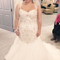 Dress opinions, sleeves or no?