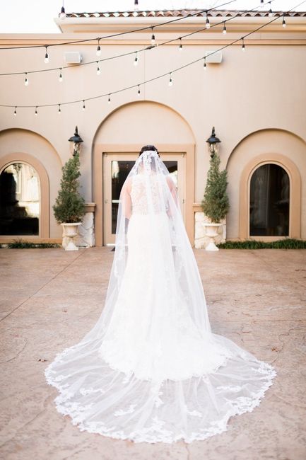 Veil - $35 from Poshmark (Still had tags on!)