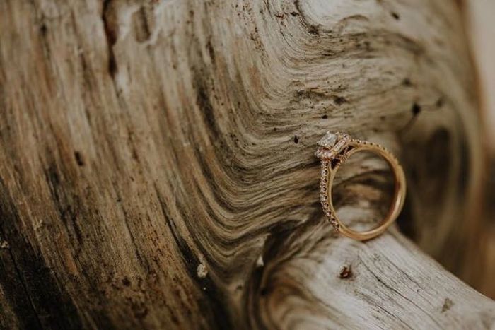 Engagement pictures!