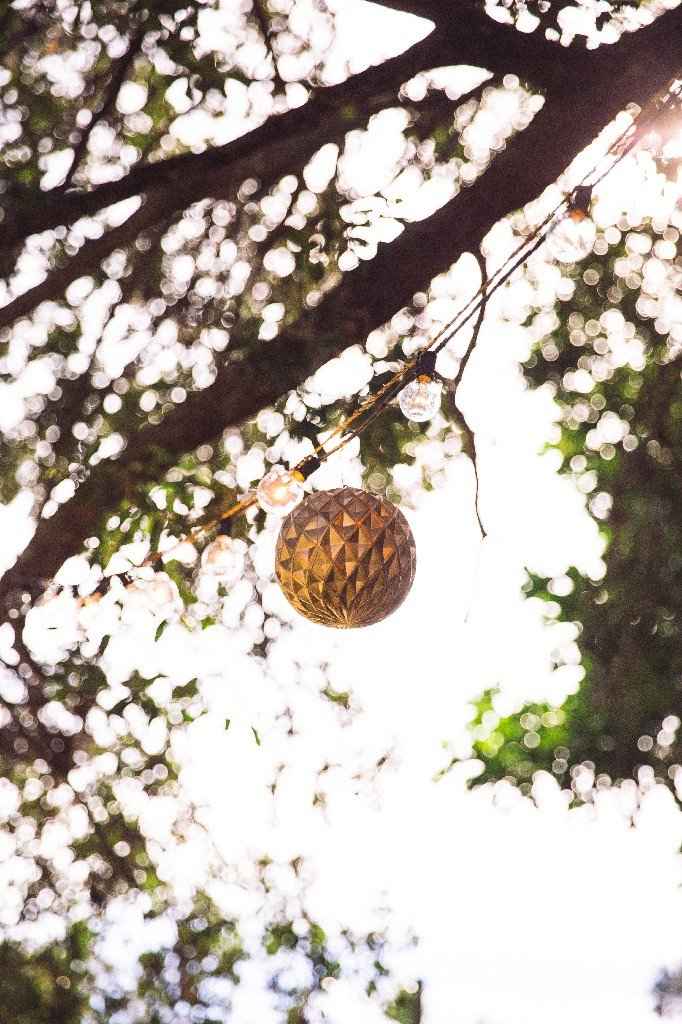 Finally got my pics! Pro-bam - 9