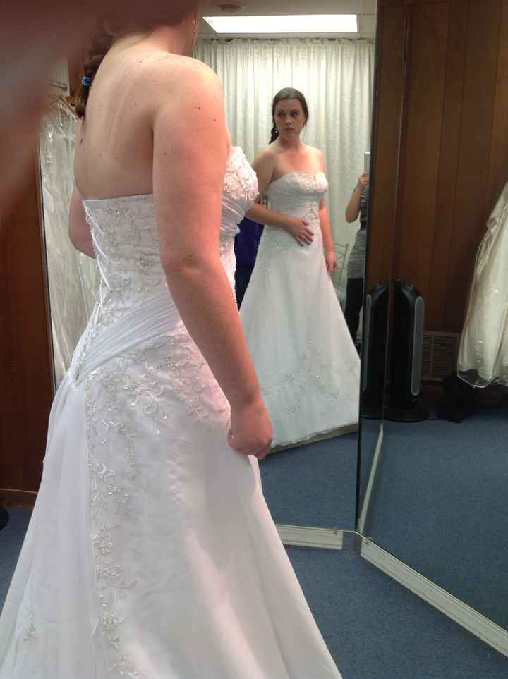 I SAID YES TO THE DRESS (PIC HEAVY)