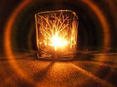 Winter Wonderland Centerpieces?