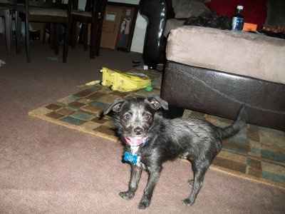 NWR: I want to see your pets!