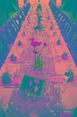 DIY Ideas / Suggestions for Centerpieces!!! Help