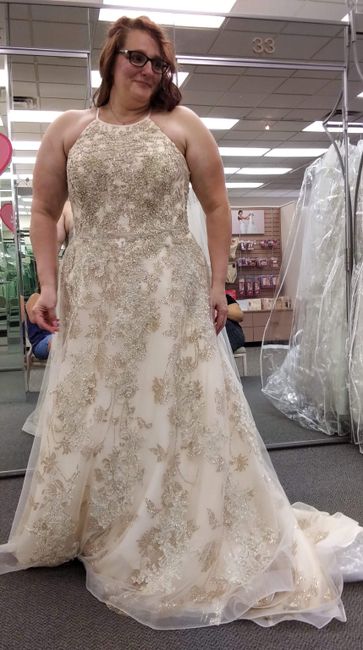 i found the gown!! - 1