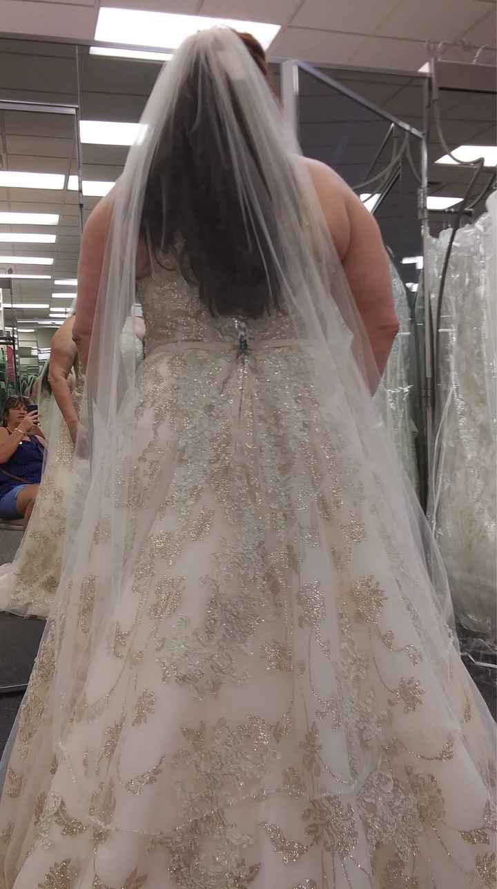 i found the gown!! - 2