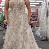 i found the gown!! - 1