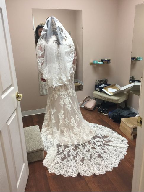 Show Me Your Veils! 15