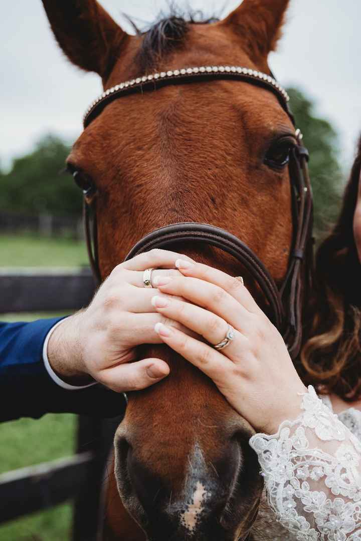 Rings and my pony!