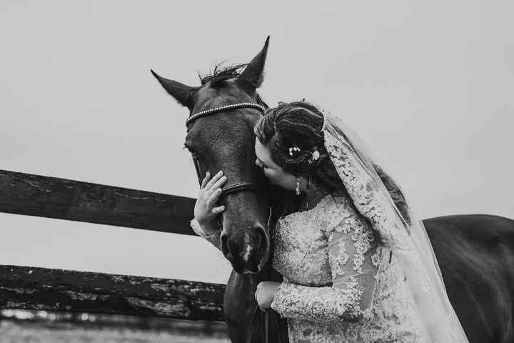 I trained this guy myself and have owned him for 13 years. He is my baby!